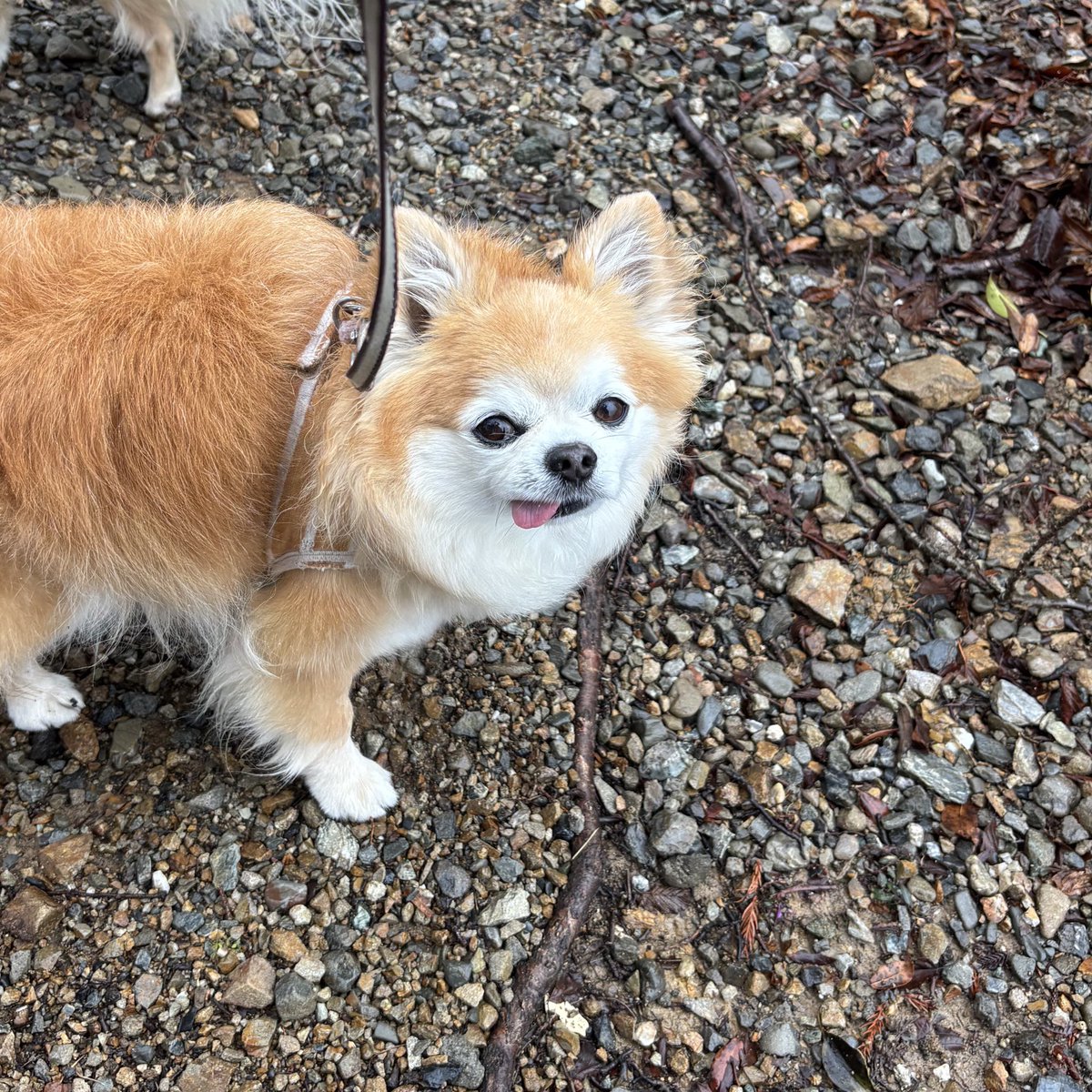 チビちゃん見晴らしいいね✨