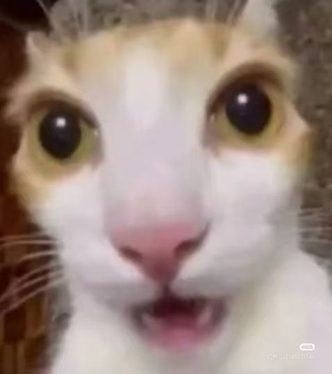 作者现状 (@wtmszzxz) on Twitter photo 