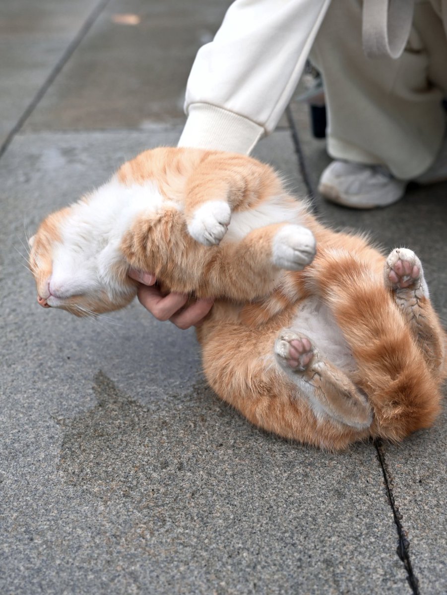 Kathleen tweet media