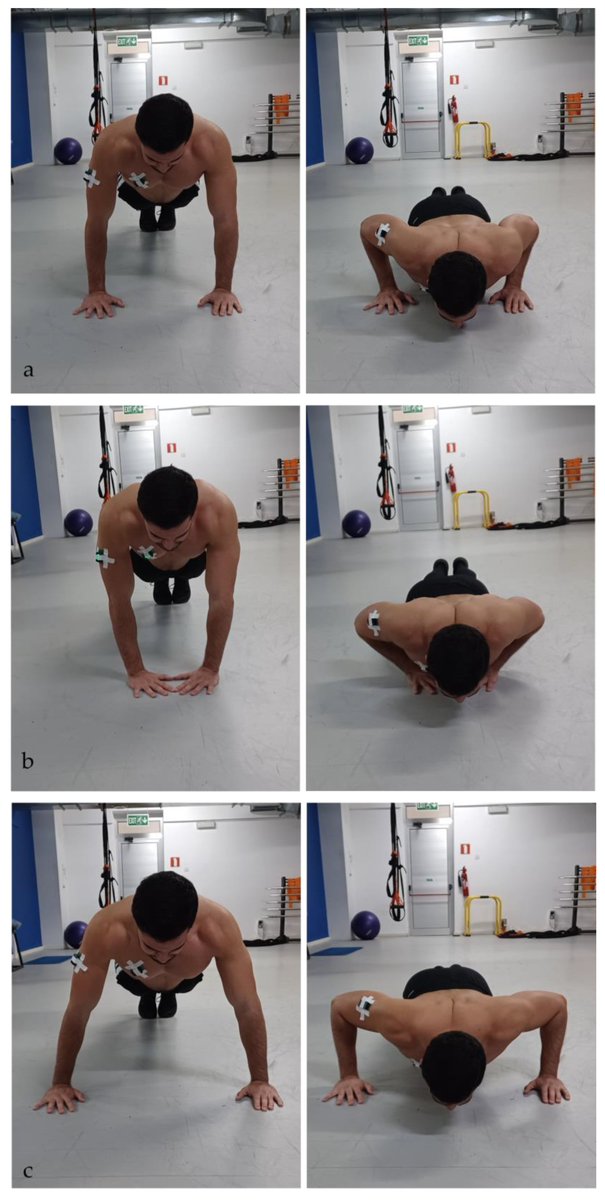 Muscles MDPI tweet media