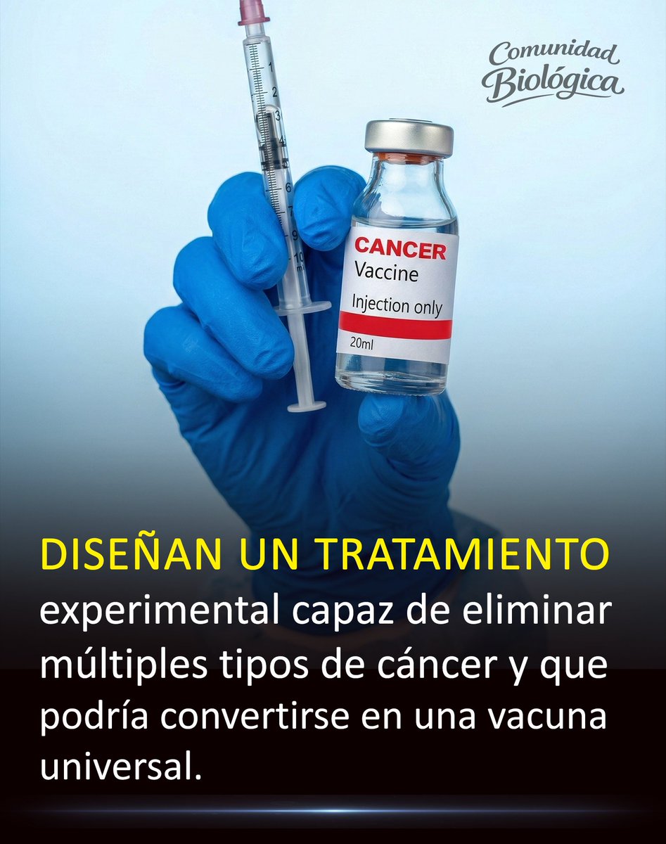 Un equipo de científicos de la Universidad de Florida ha dado un paso gigante en la lucha contra el cáncer.

Desarrollaron una vacuna experimental de ARNm que enseña al sistema inmunológico a reconocer y atacar tumores de forma masiva.

A diferencia de otras terapias actuales,