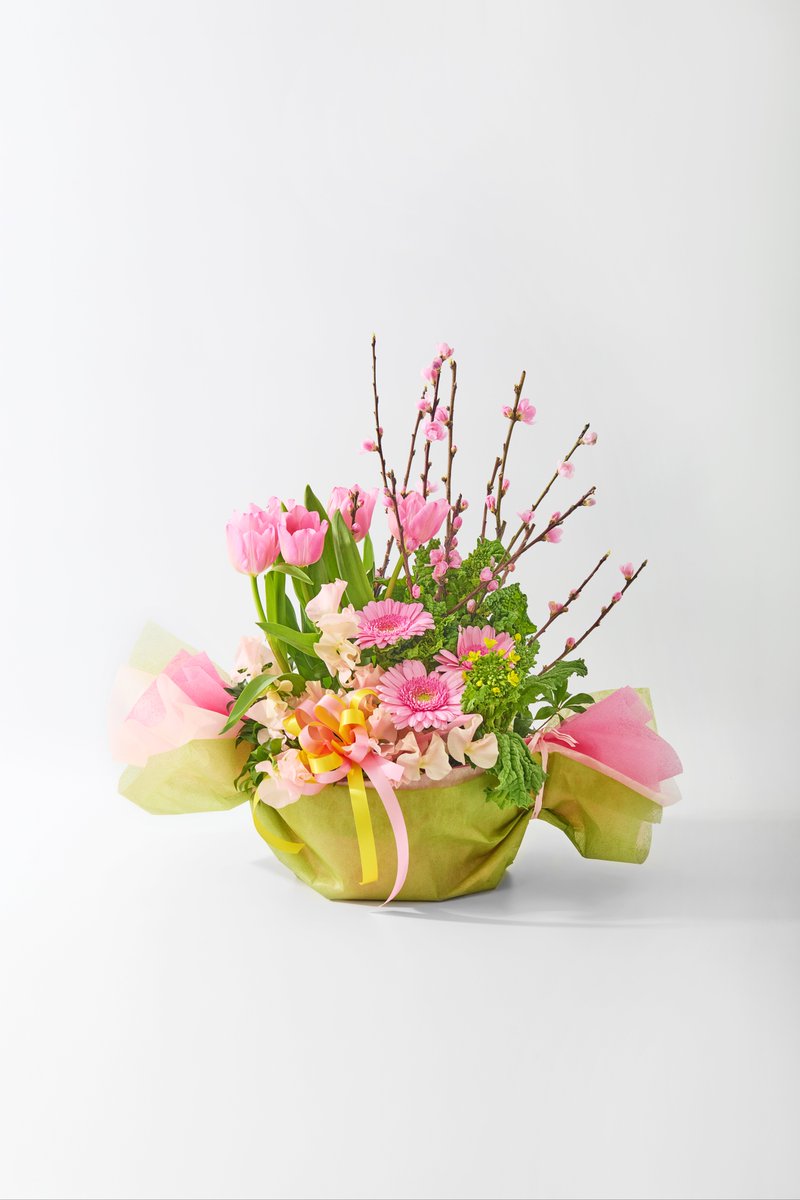 花キューピット【公式】 (@i8791) / Posts / X