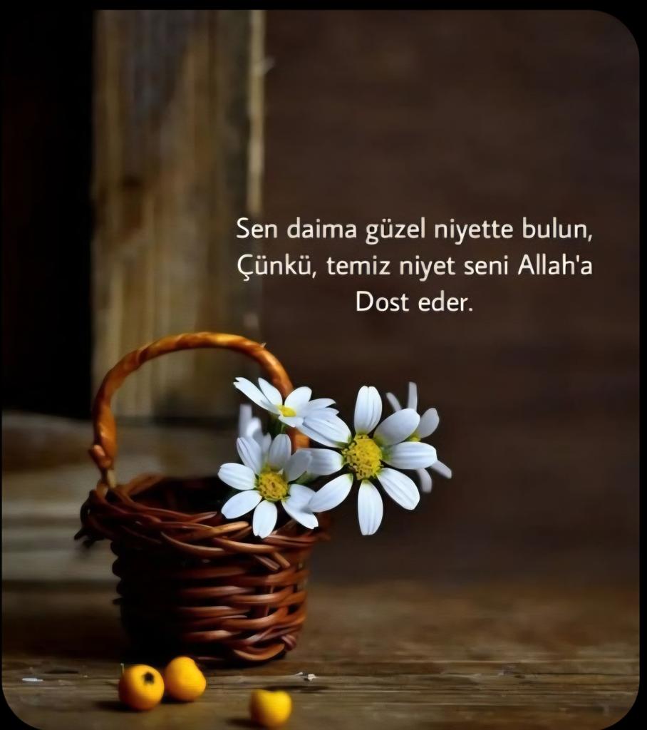 ⚘️  Selamünaleyküm 
       Sıcağa  - soğuğa ,yağmaya niyet eden yağmura. 
            İçimizi ısıtan çaya-kahveye 
                    Neşeye-huzura.........
   İyiliğe niyet eden tüm güzel insanlara 
                      Günaydınlar. 🥀🌥🌼