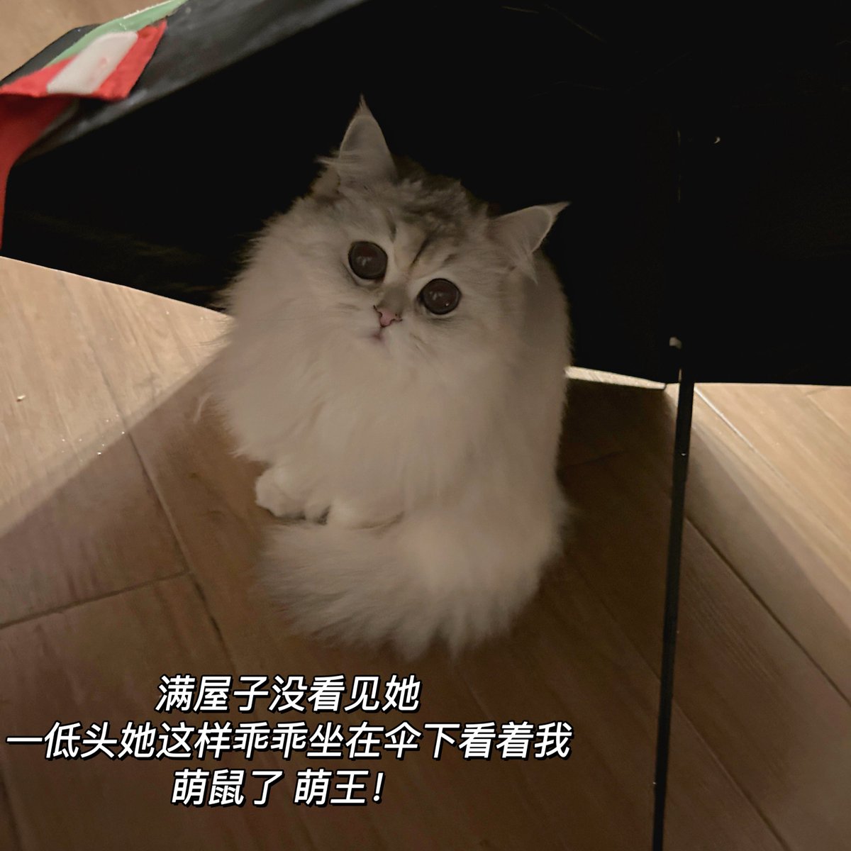 Nanako tweet media