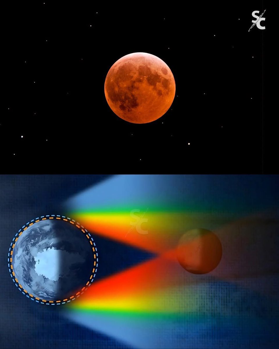 🔴🌖| RECORDATORIO DE QUE SERÁS LA MISMA PERSONA DESPUÉS DEL ECLIPSE 

Esta noche sucederá el eclipse lunar total: la Luna se volverá roja por 58 minutos. Ante esto, un recordatorio importante.

- NO limpia energías
- NO te hace vibrar más alto
- NO equilibra el mundo natural
-