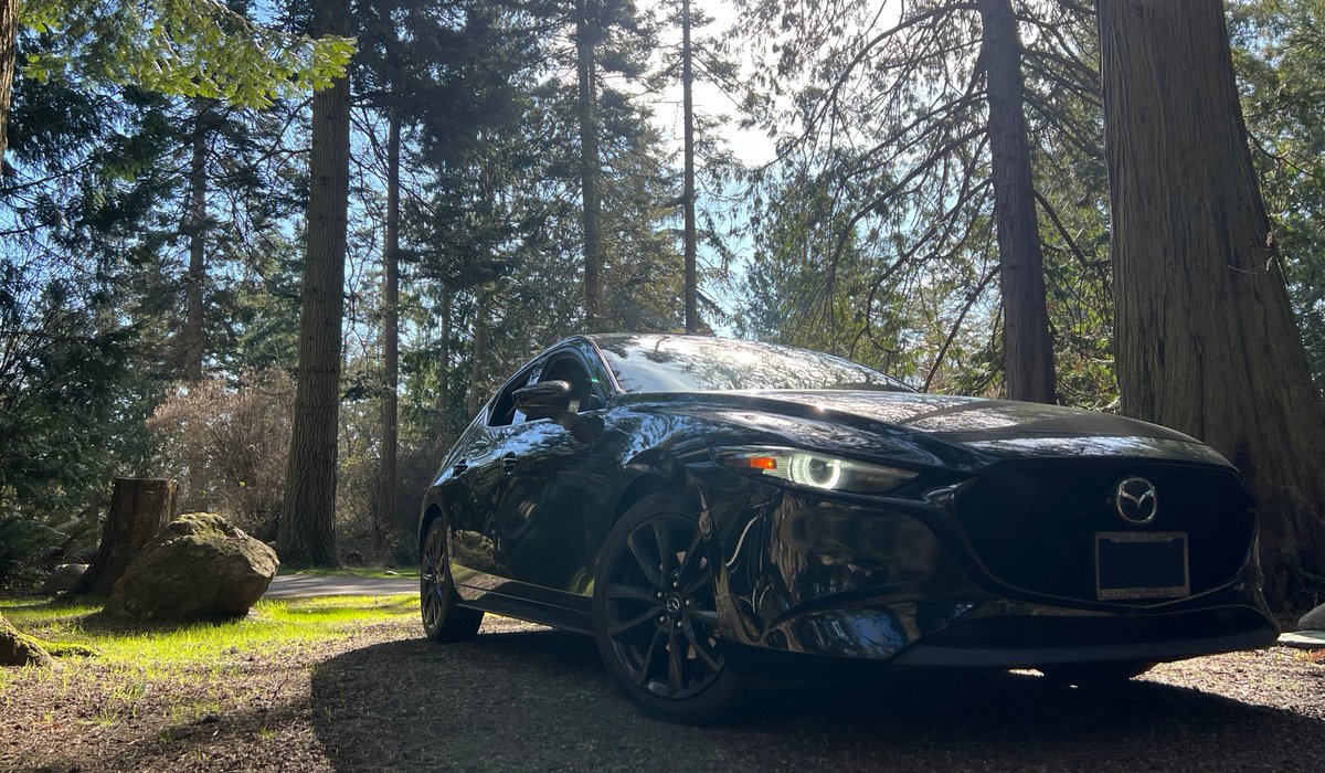 Gray 🔜 TFF tweet media