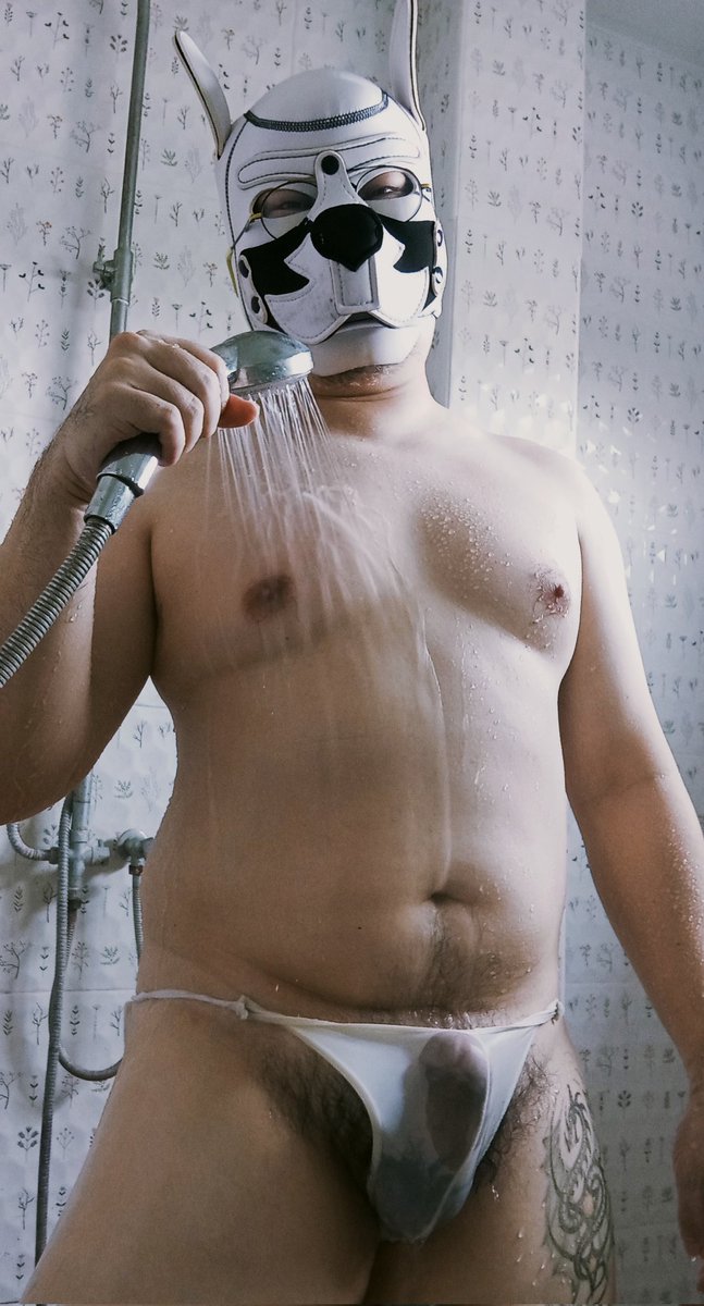 พ่อแมวอ้วน tweet media