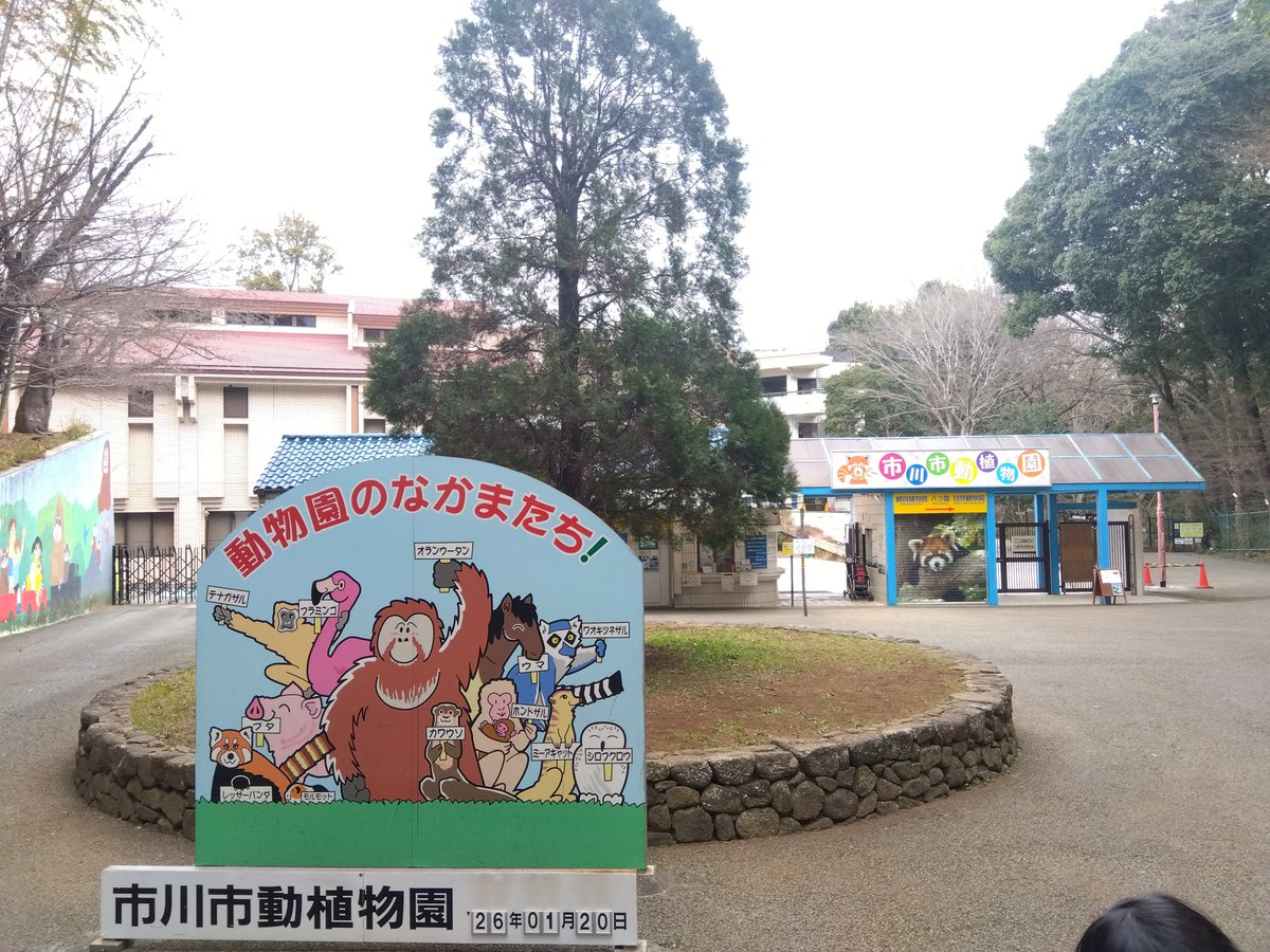 kosakainami's tweet photo. 毎年帰省時に娘と過ご���市川市動植物園、
昭和62年開園で来年は40周年ですね
写真は1月なのでまだ空いてたけど、今賑わっているうれしさやいつも温かい職員さんへの感謝とか郷愁とかでニュース見るたびに泣きそうになる😂
近くのバラ園やありのみコースもおすすめです✨
 #市川ファン #市川市動植物園 https://t.co/BSqlceqMDx
