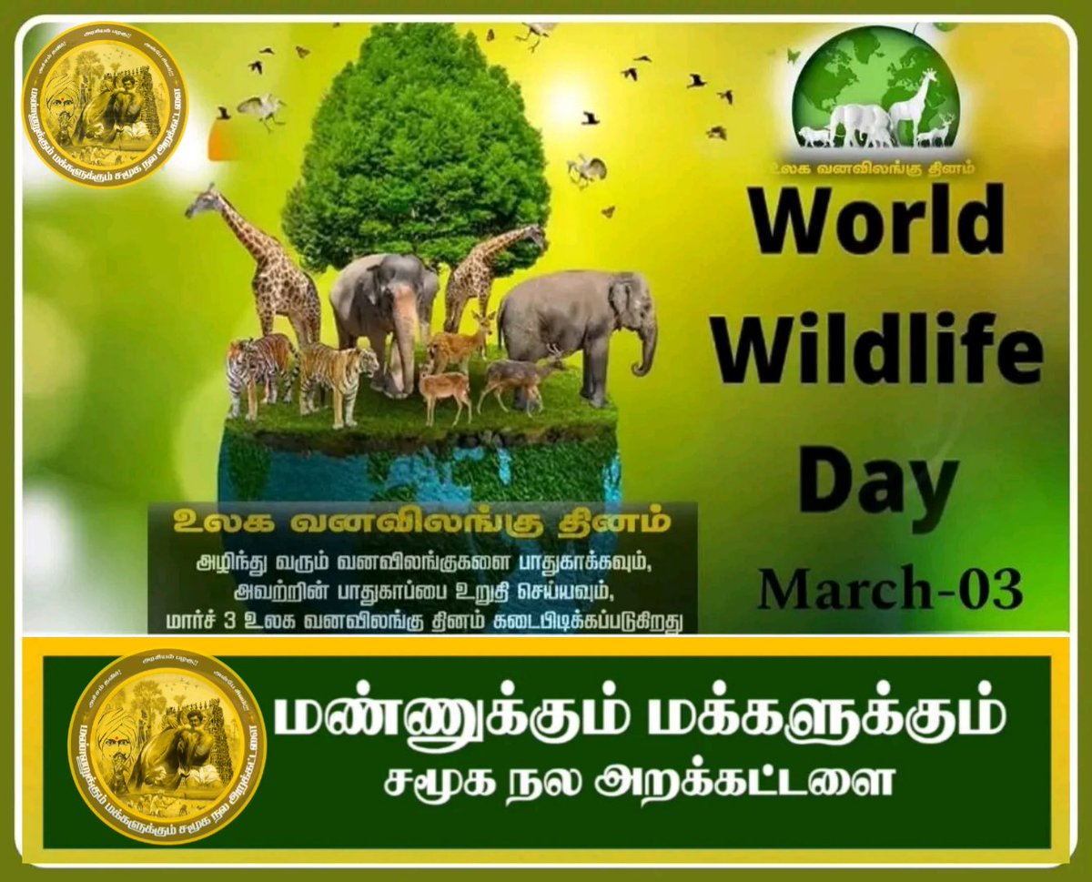 soundar4uall's tweet photo. World Wildlife Day - March 3rd 2026 

உலக வன விலங்குகள் தினம் இன்று 

இந்த பூமி மனிதனுக்கானது மட்டும் அல்ல;
இது தாவரங்களுக்கும் விலங்குகளுக்கும் சேர்ந்தது.
தாவரமும் விலங்கும் தங்களது கடமையை ஒழுங்காக செய்கின்றன;
மனிதர்களாகிய நாமும் நம் கடமையை பொறுப்புடன் செய்ய வேண்டும்.

இயற்கை மற்றும் சுற்றுச்சூழலை பாதுகாப்போம்.

🌱🌳😍🌎🙏

🦍🦁🐘🐅🦨🐿️🦜🦒

#WorldWildlifeDay 

#SoundaraRaja
#MannukkumMakkalukum 
#TVKVijay‌ #TVK