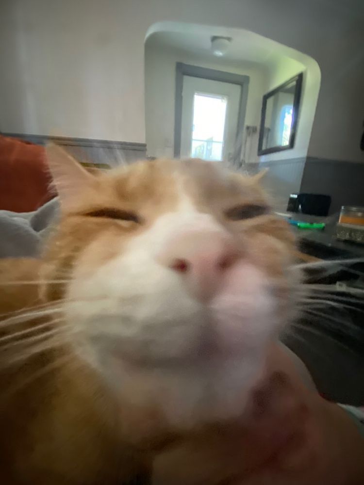 soi sauce ⭐️COMMS OPEN⭐️ tweet media