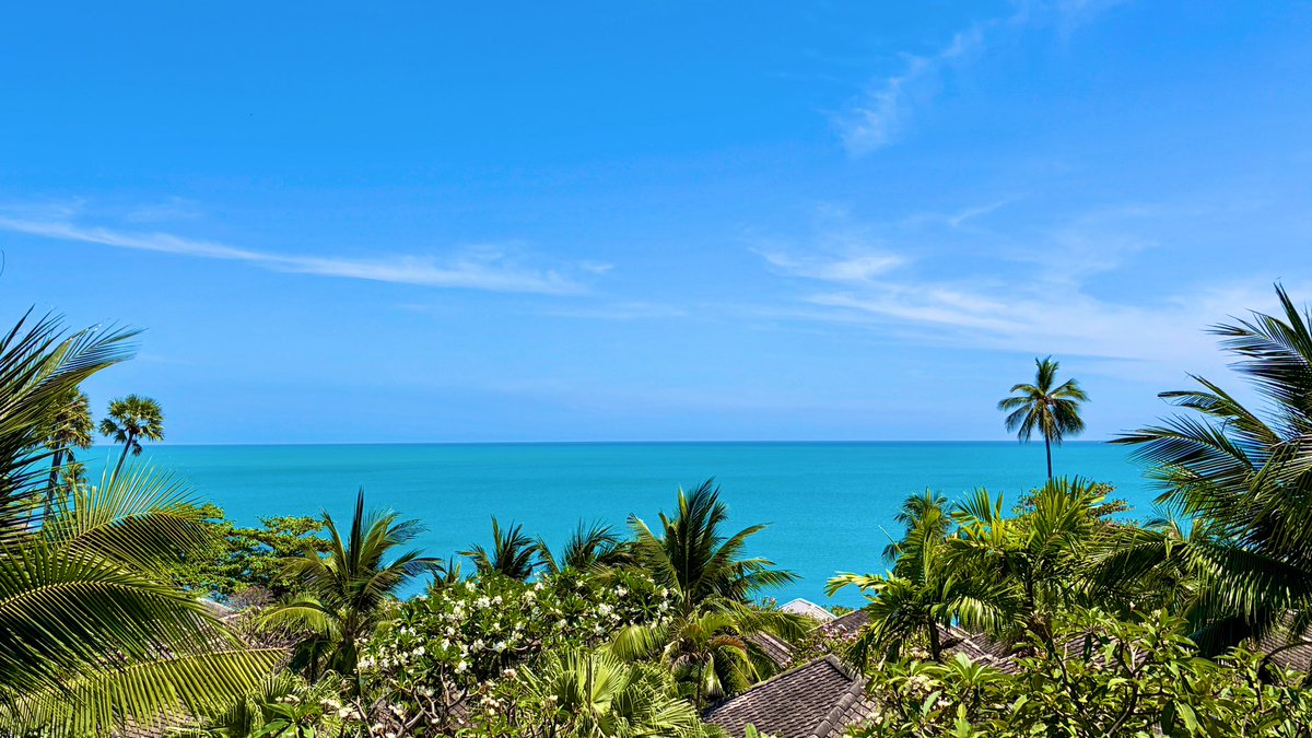 𝐊𝐨𝐡 𝐒𝐚𝐦𝐮𝐢 𝐚𝐧𝐝 𝐁𝐞𝐲𝐨𝐧𝐝 tweet media