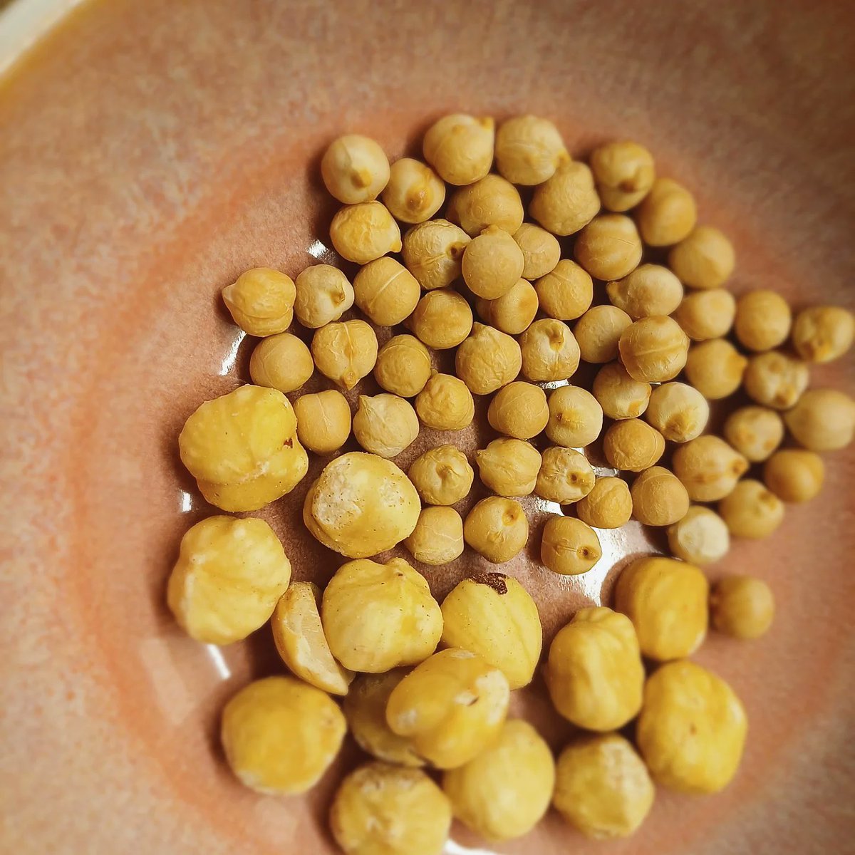 Joke Boon tweet media