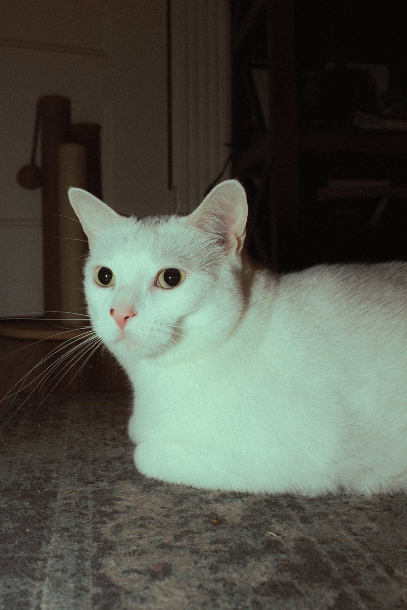 . ݁₊ ⊹ k@݁₊ ⊹ . tweet media