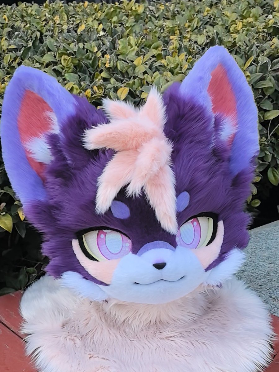 Umi Fursuit 유미 퍼슈트 공방 tweet media