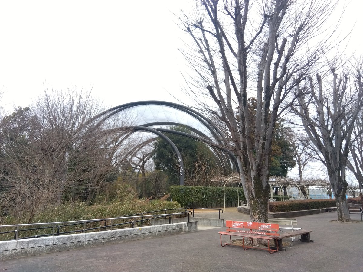 kosakainami's tweet photo. 毎年帰省時に娘と過ご���市川市動植物園、
昭和62年開園で来年は40周年ですね
写真は1月なのでまだ空いてたけど、今賑わっているうれしさやいつも温かい職員さんへの感謝とか郷愁とかでニュース見るたびに泣きそうになる😂
近くのバラ園やありのみコースもおすすめです✨
 #市川ファン #市川市動植物園 https://t.co/BSqlceqMDx