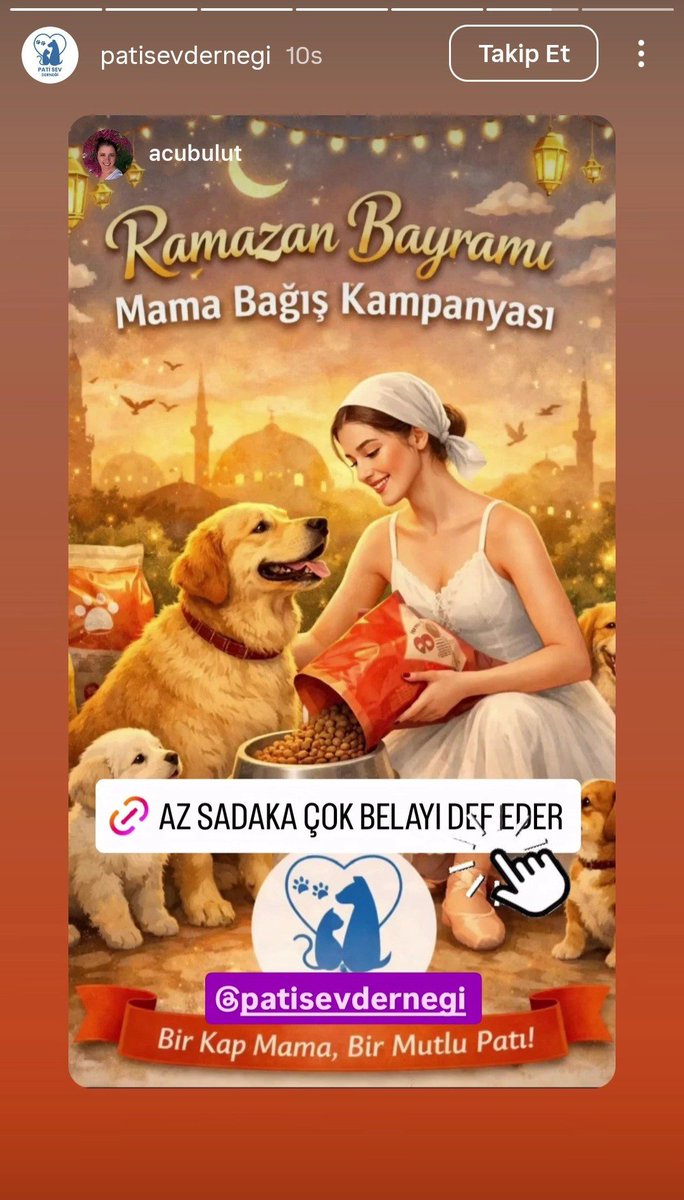 Sırada ne var? Fitre ve zekatı köpeklere, kurban bağışını köpekçi derneklere mi isteyeceksiniz?
