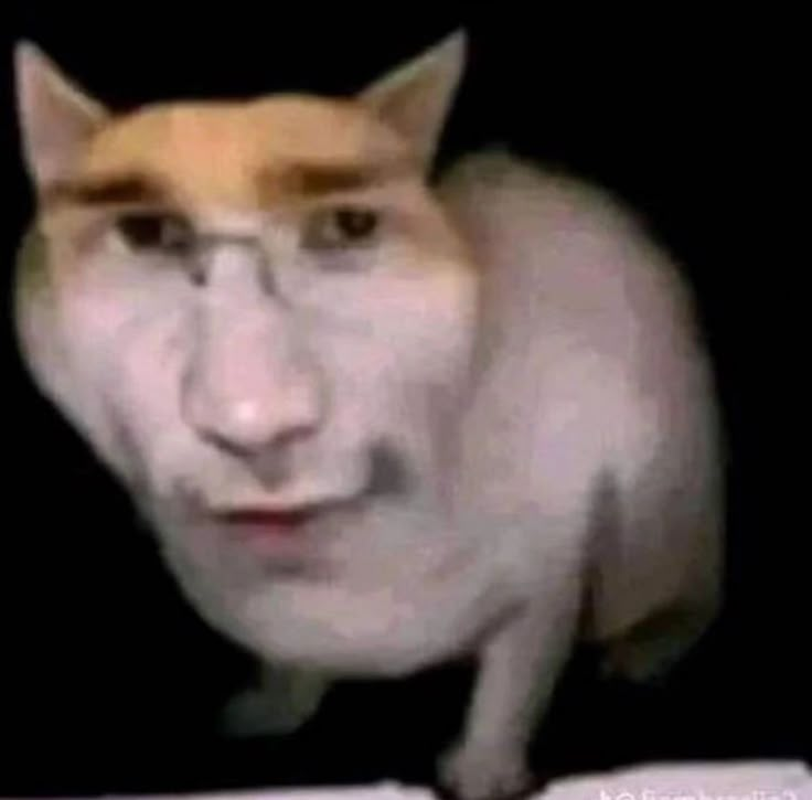 Funtii_016/COMMISSIONS OPEN tweet media