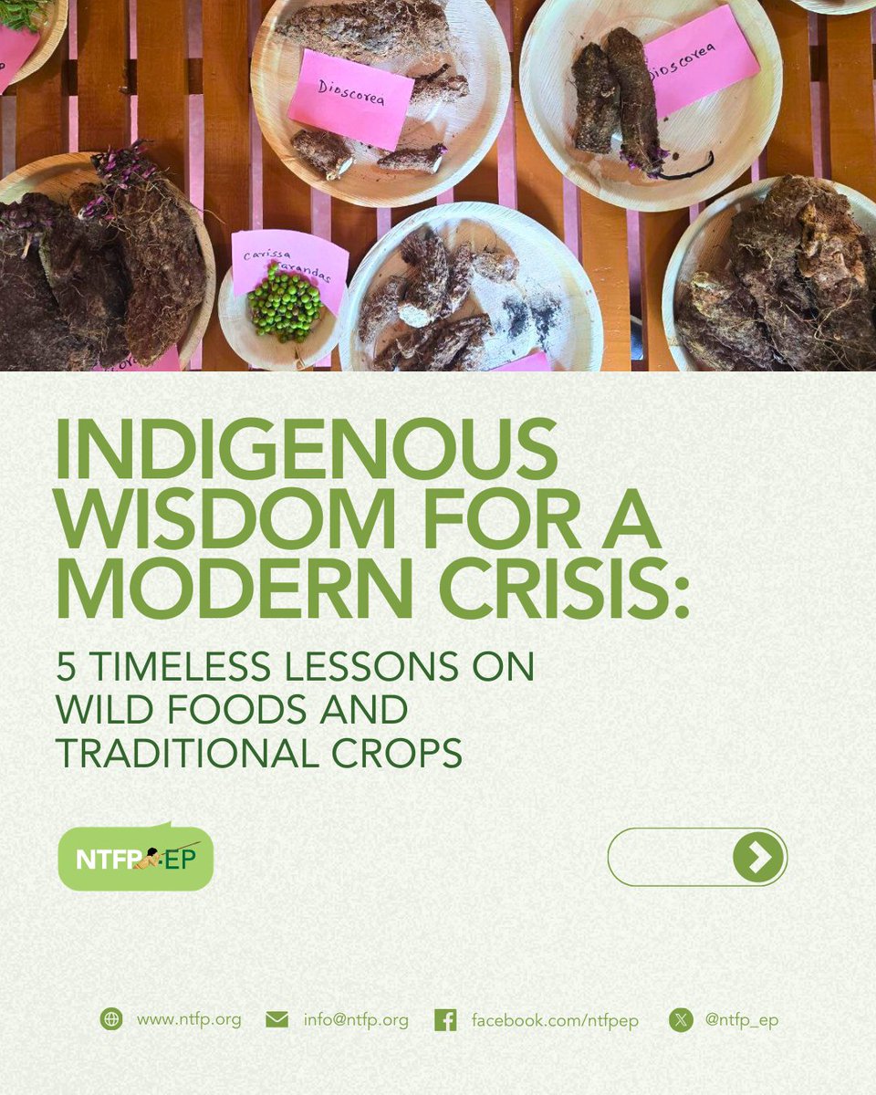 NTFP-EP Asia tweet media