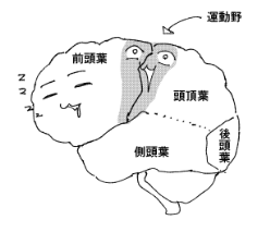 夢遊病図 