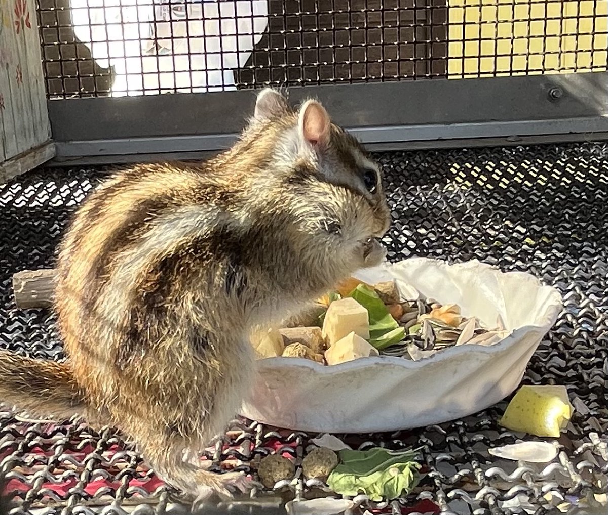 株式会社エム・ソフト 広報（公式） tweet media