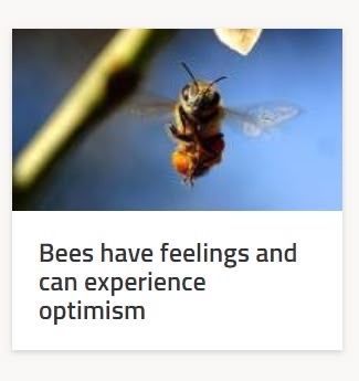 me too bees