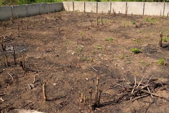 DD of Lagos tweet media