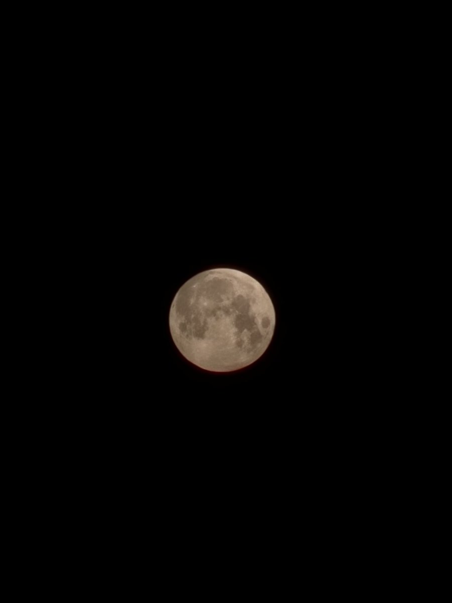 Femmiefemkee's tweet photo. The moon will sing a song for me, I loved you like the sun.
#fullmoon #redmoon #moonpicture #BloodMoon https://t.co/YZWx1UDsW6