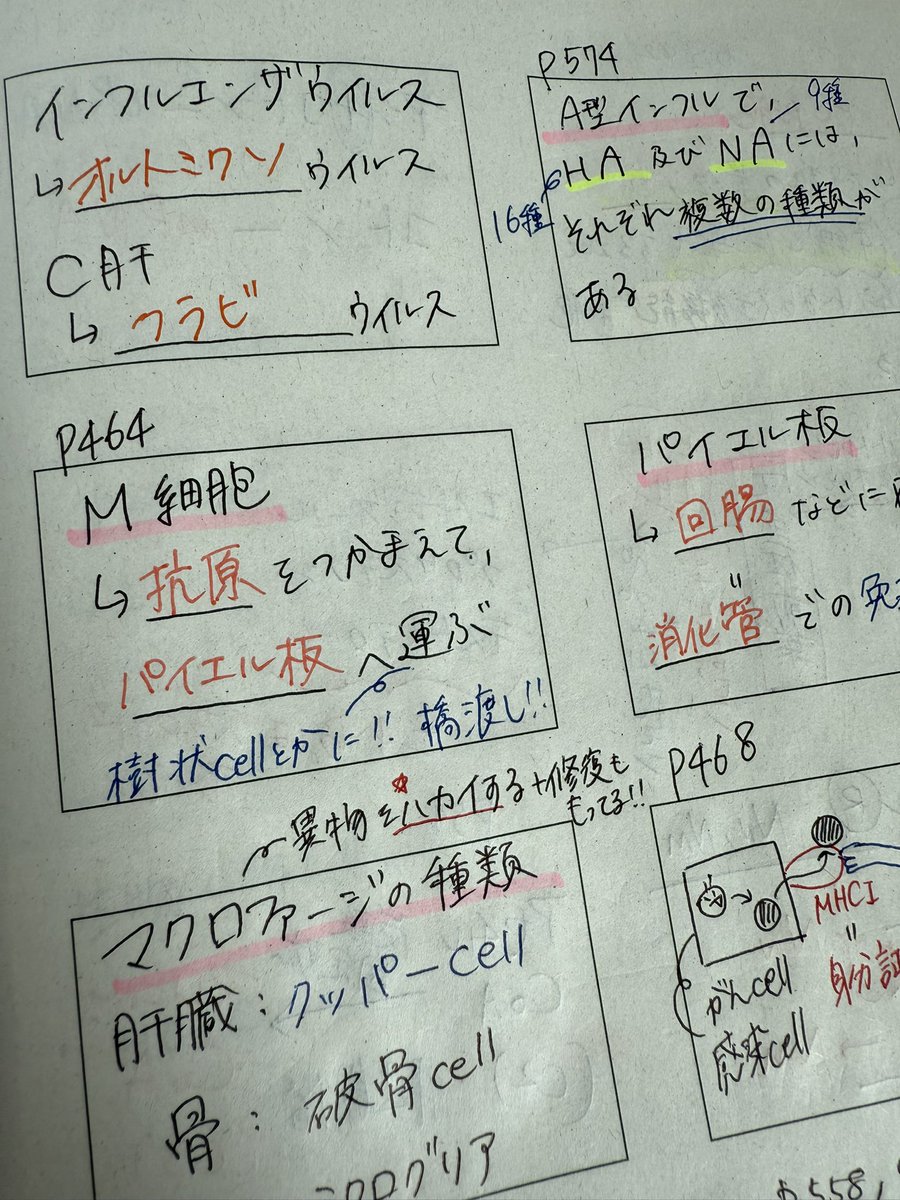 Rurunyan_0921's tweet photo. 身バレしたらどうしようと思いつつこれはこれから国試受ける人に伝えたくて投稿します！

マジで時間かけずにメモ程度に書くだけです！個人的には科目ごとに分けてたのは良かったです⭕️

詳しくは1枚目の写真のALTに書いてます！

ぜひ参考までに☺️ https://t.co/oIPss71sKz