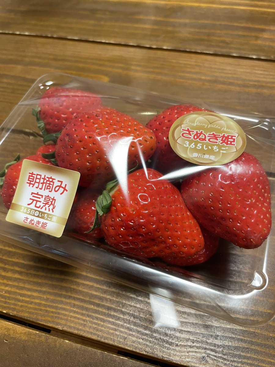 石井 雅登 Masatou Ishii tweet media