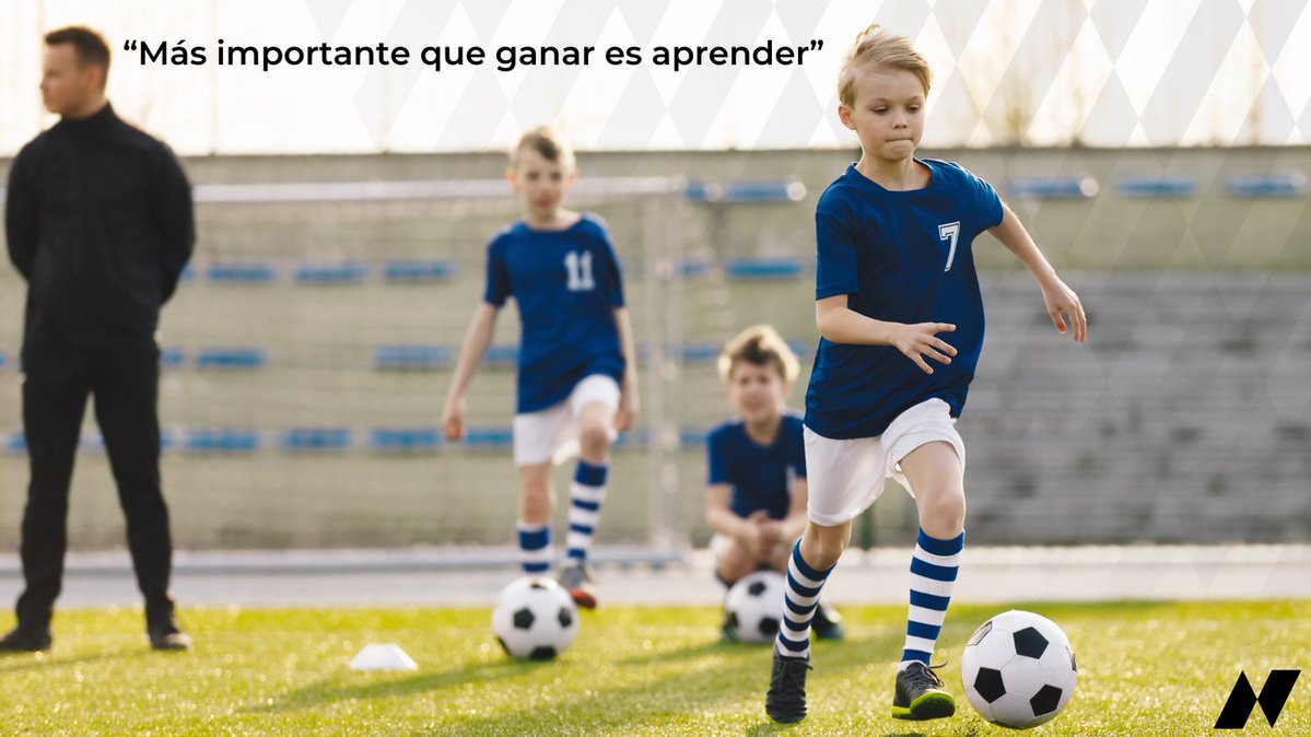 Novanet A.C. tweet media