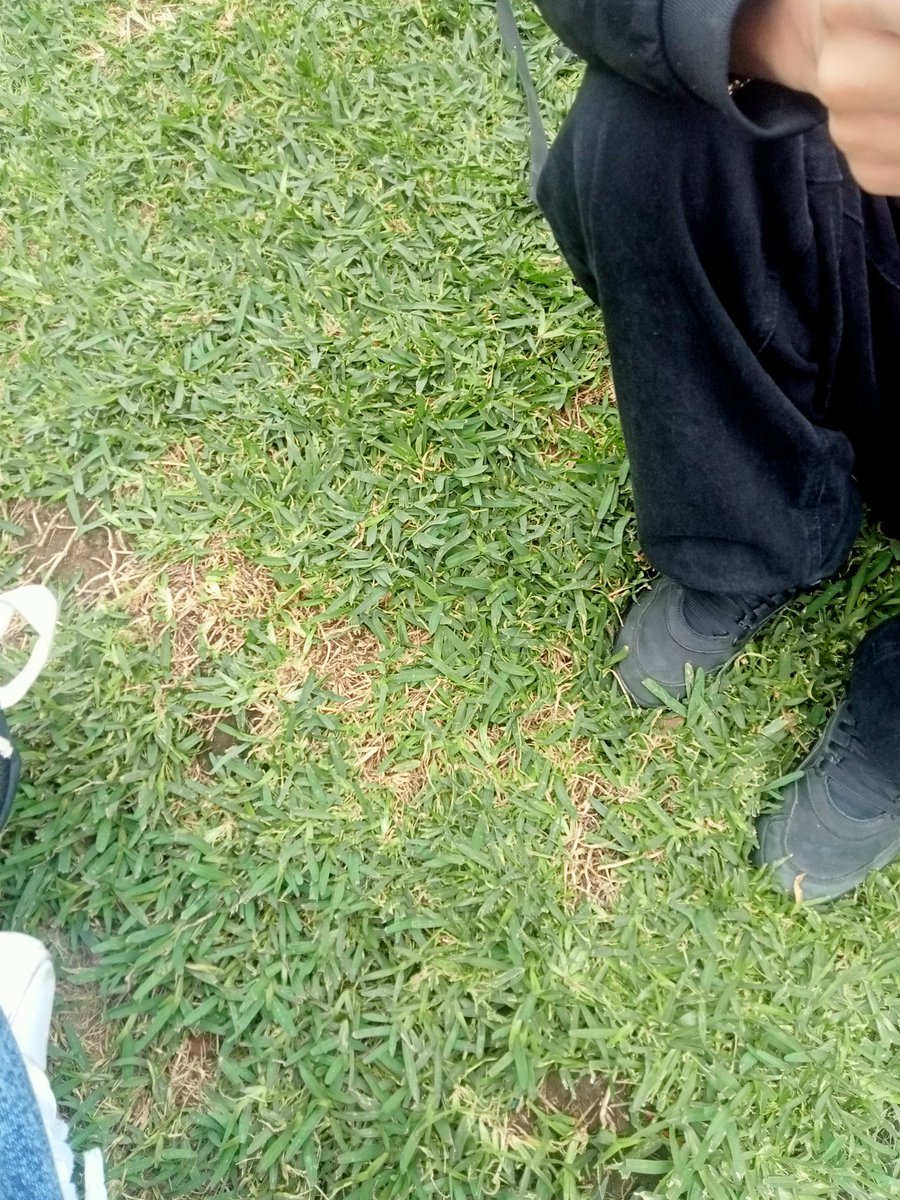 hoy toqué pasto🥹