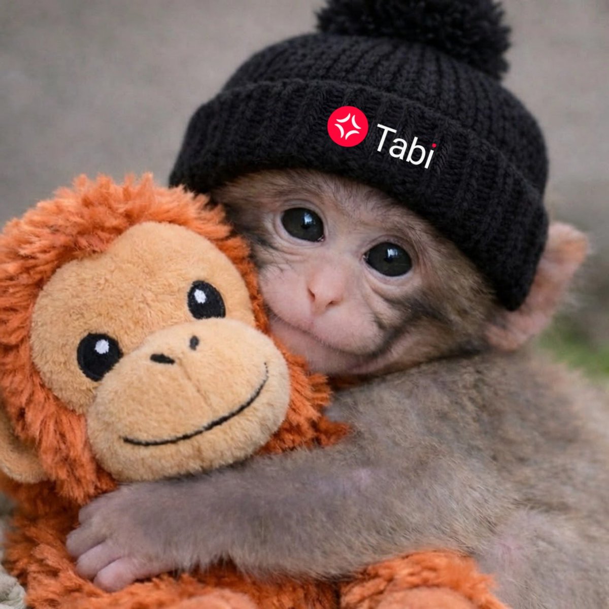 SANSA 💢 tweet media