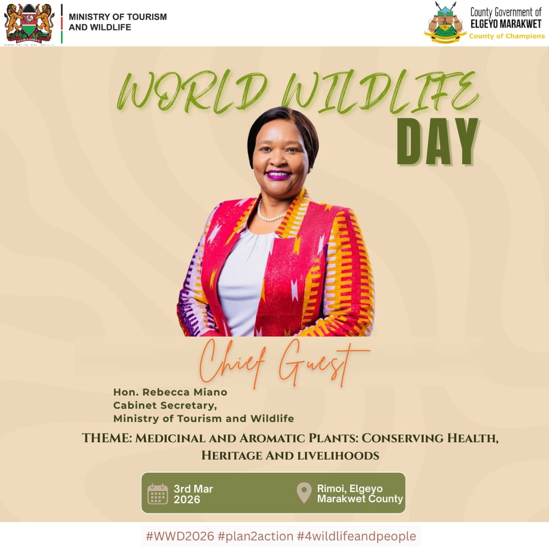 JamesLokwale's tweet photo. On this #WorldWildlifeDay, South Turkana National Reserve in Kainuk comes to my mind.

This tourism attraction needs the attention of the @TurkanaCountyKE.

@LokwangPatrick, with whom I share the passion on excursions, fully agrees with me. https://t.co/6lirPQrcGq