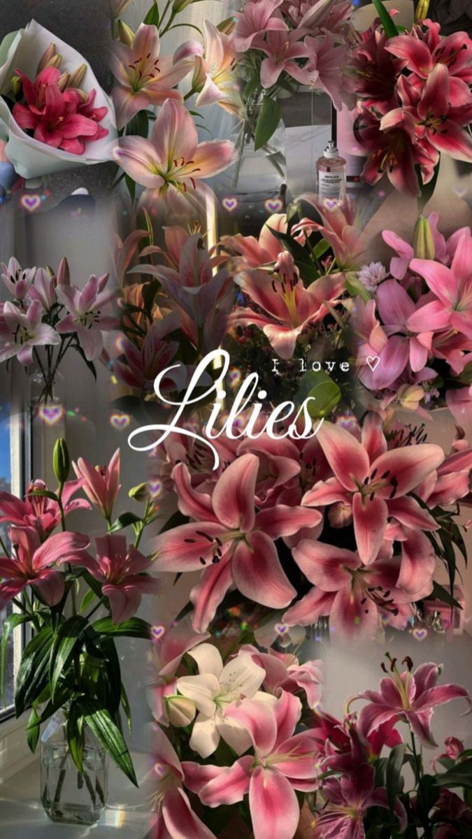 bloomifyyy's tweet photo. https://t.co/gQW60HkdqS