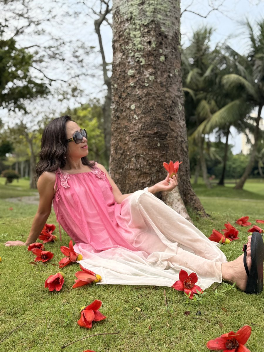 阳光牡丹姐~SunshinePeonySister🌤️🌺👩‍🌾 tweet media