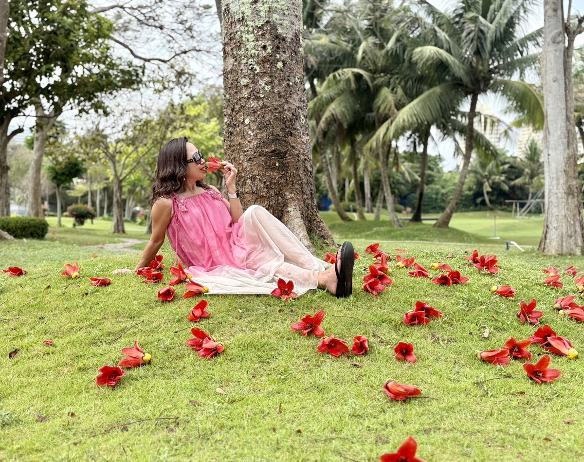 阳光牡丹姐~SunshinePeonySister🌤️🌺👩‍🌾 tweet media