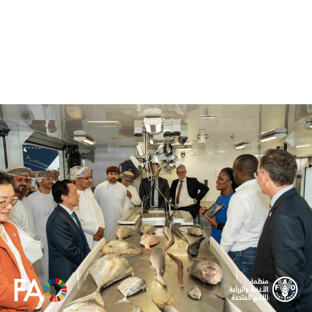 منظمة الأغذية والزراعة للأمم المتحدة في عمان tweet media