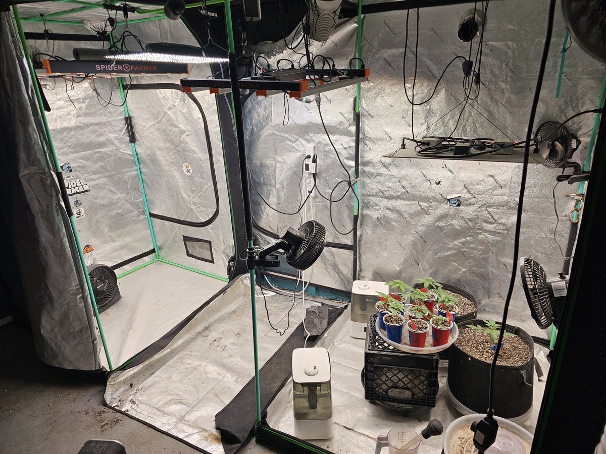 iPrimeTime420 🌱 tweet media