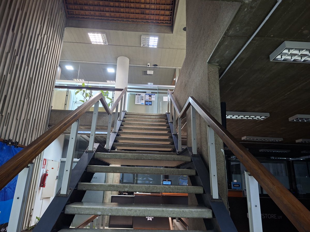 Bambino Etchegoyen tweet media