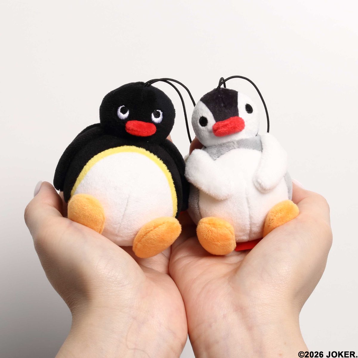 pingu_jpn's tweet photo. ⋱まんまる！○● ふわふわ～！☁⋰

「PINGU™ ふわふわコレクション」が
カプセルトイに登場！
全種ふわふわ素材でどれが出ても癒されちゃう🐧💤

●発売日：2026年3月上旬から順次発売予定
●価格：1回500円
●取扱い場所：全国のカプセルトイ自販機設置場所
※本商品の設置店舗に関するお問合せにはお答えいたしかねます。

#PINGU　#カプセルトイ
