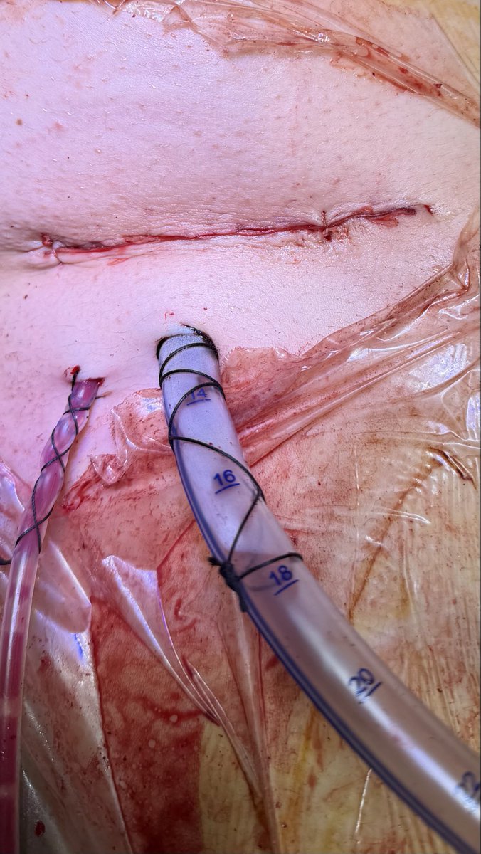 Op Dr Murat Sezgin tweet media