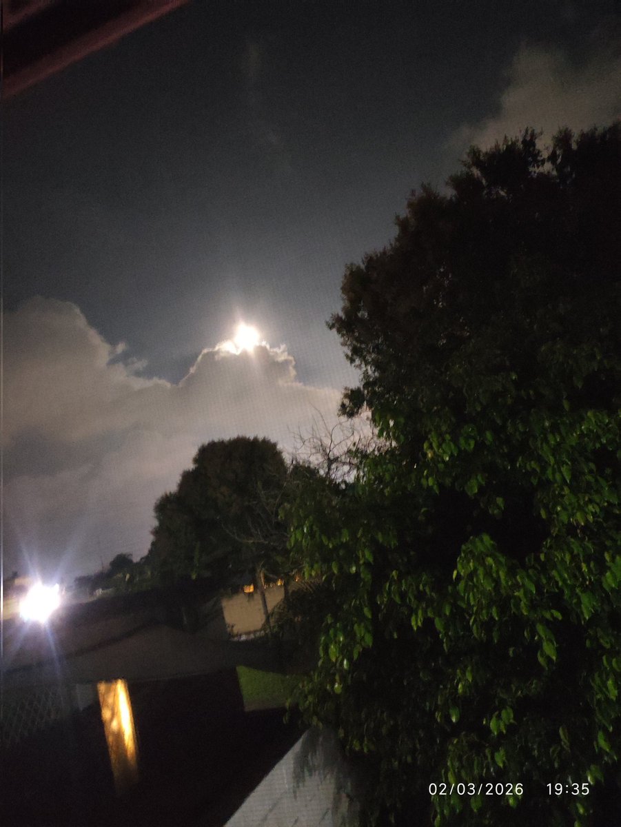 ...❤️...

Me fascina 
todo lo que habla...
Sin usar palabras...
La música,
Los ojos 
El corazón ❤️ 
 la luna ... usted 💚 

#BuenasNoches  #BuenosDías #FelizVida #AbrazoTierno Besos 😘 
#LYF15 #TuPoesía #EroTuits 
#MiCielo #LunaBella