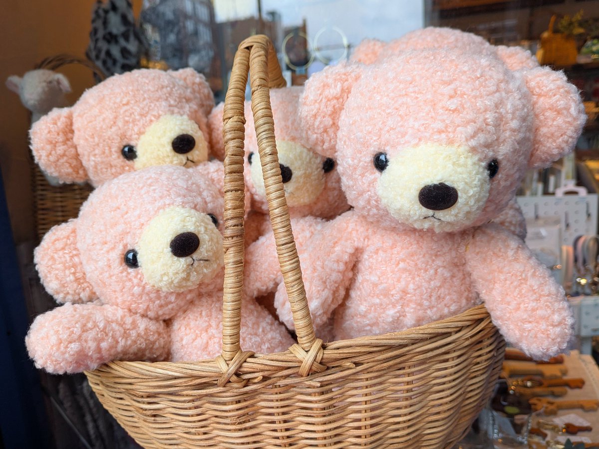 かぁいい🥰ｸﾏﾁｬｧﾝ🐻