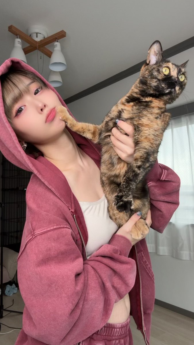 ひより🐈‍⬛🐾 (@hiyori___1209) / Posts / X