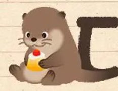 타로해🧡 tweet media