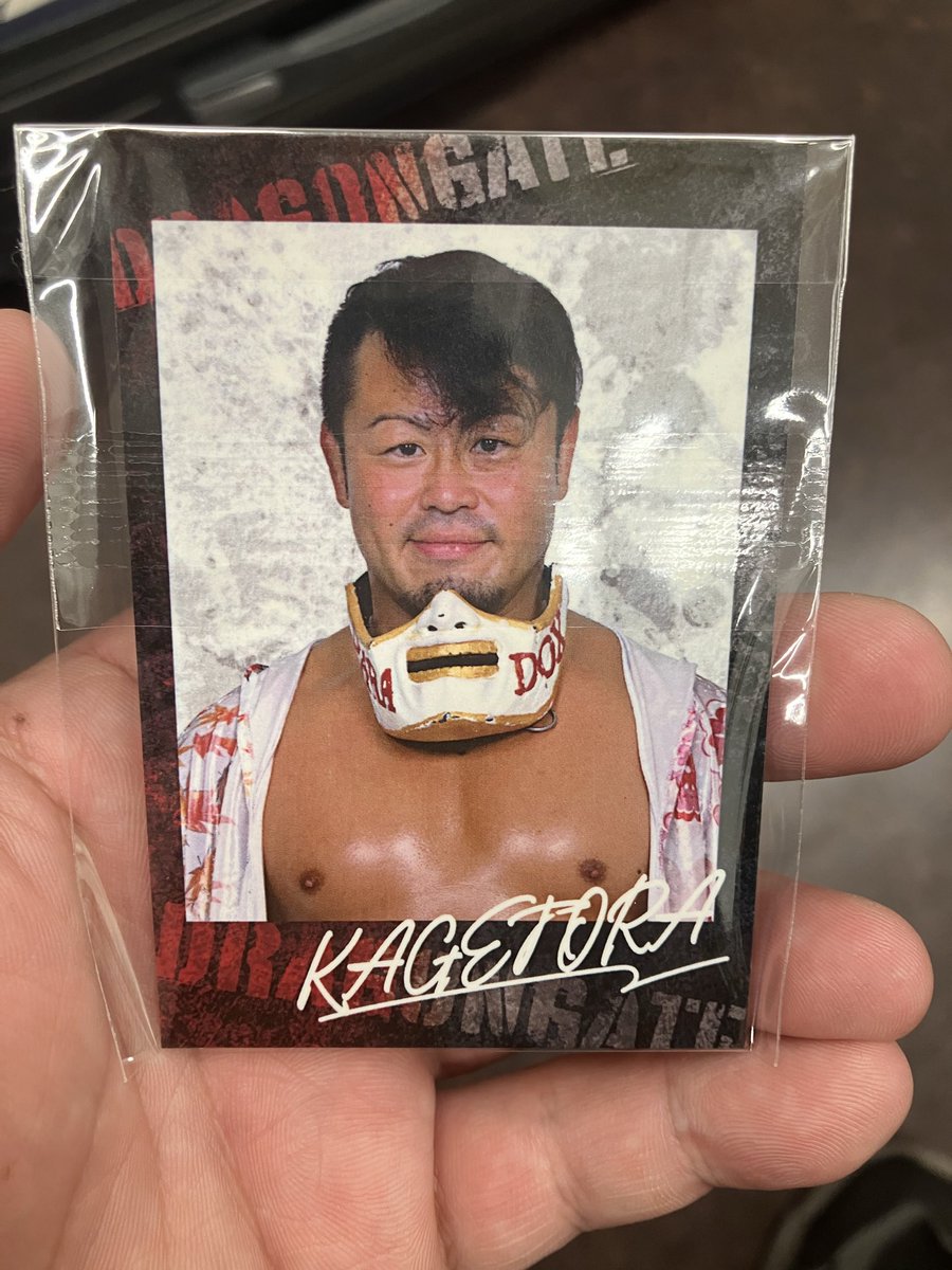 本日の後楽園からドラポンにてチェキ風カードが景品に新登場