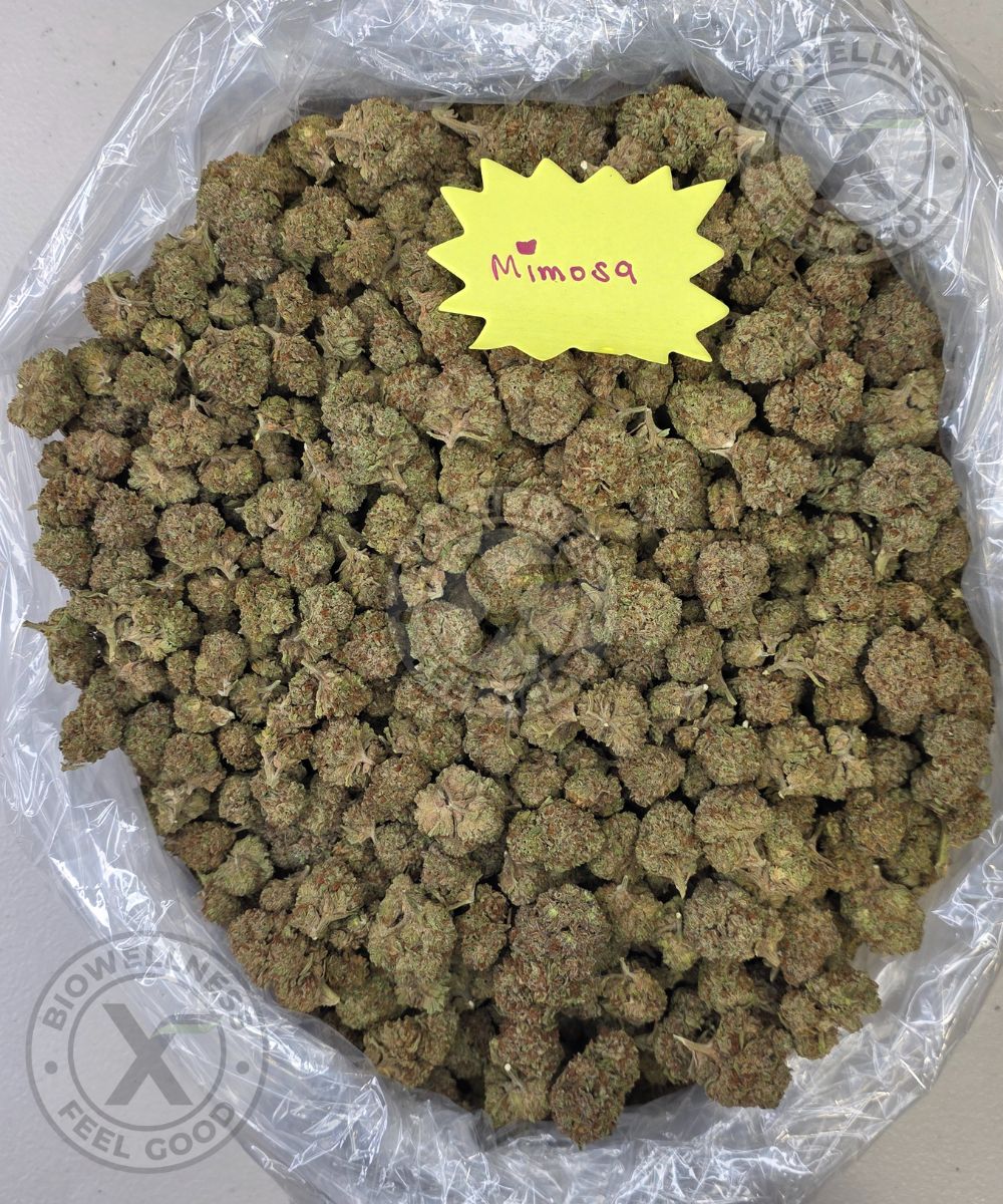 Who are you smoking all this with? 🌬️