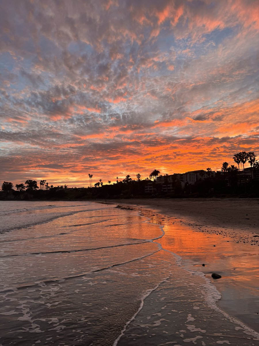 groovygoddesz's tweet photo. my country california https://t.co/nuE9so4BSM