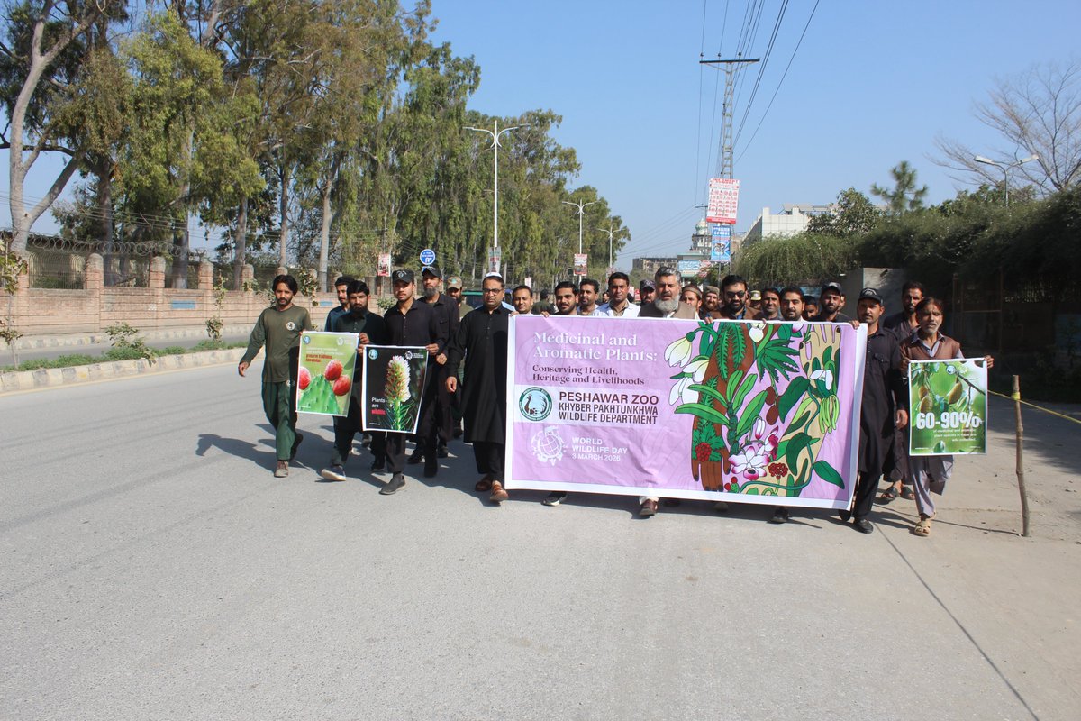 ZooPeshawar's tweet photo. 𝐖𝐨𝐫𝐥𝐝 𝐖𝐢𝐥𝐝𝐥𝐢𝐟𝐞 𝐃𝐚𝐲 𝟐𝟎𝟐𝟔 – 𝐀𝐰𝐚𝐫𝐞𝐧𝐞𝐬𝐬 𝐖𝐚𝐥𝐤 &amp; 𝐃𝐢𝐫𝐞𝐜𝐭𝐨𝐫’𝐬 𝐀𝐝𝐝𝐫𝐞𝐬𝐬 📷
On 3rd March 2026, in connection with World Wildlife Day observed by the UN, the staff of Peshawar Zoo organized an Awareness Walk. https://t.co/oR5AE8S8E0