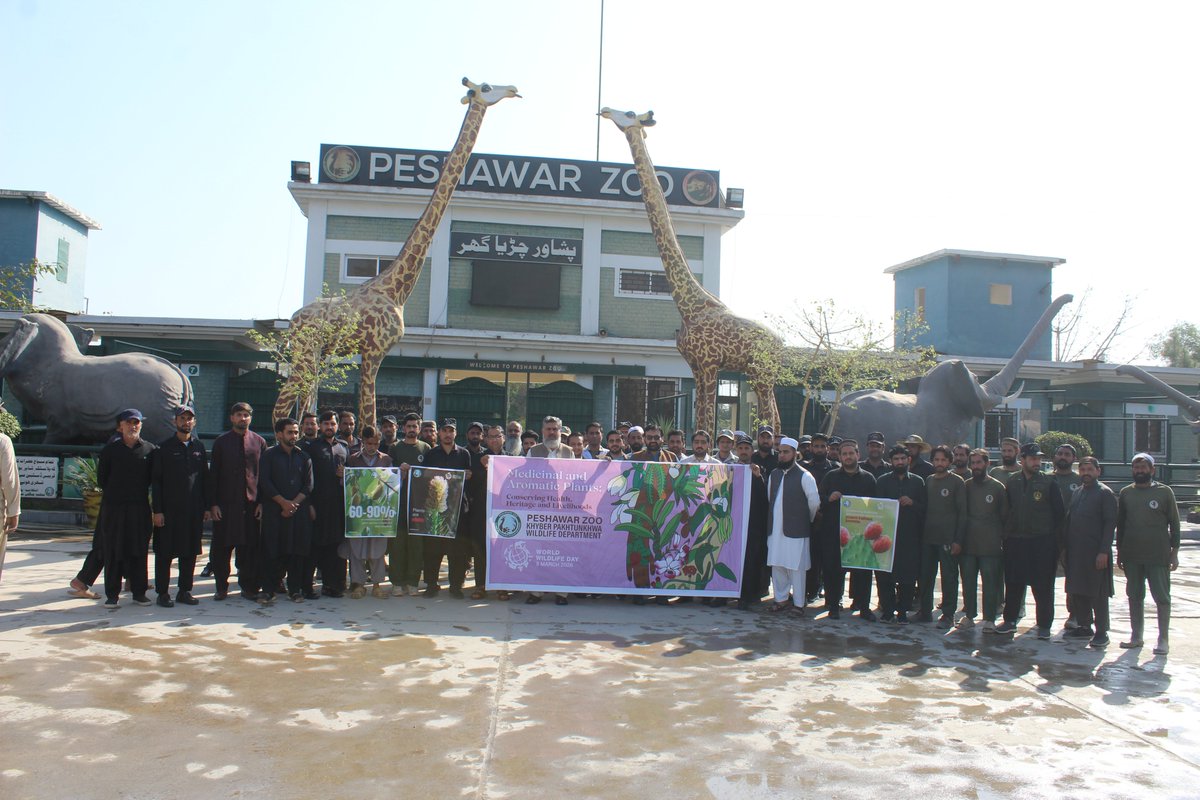 ZooPeshawar's tweet photo. 𝐖𝐨𝐫𝐥𝐝 𝐖𝐢𝐥𝐝𝐥𝐢𝐟𝐞 𝐃𝐚𝐲 𝟐𝟎𝟐𝟔 – 𝐀𝐰𝐚𝐫𝐞𝐧𝐞𝐬𝐬 𝐖𝐚𝐥𝐤 &amp; 𝐃𝐢𝐫𝐞𝐜𝐭𝐨𝐫’𝐬 𝐀𝐝𝐝𝐫𝐞𝐬𝐬 📷
On 3rd March 2026, in connection with World Wildlife Day observed by the UN, the staff of Peshawar Zoo organized an Awareness Walk. https://t.co/oR5AE8S8E0